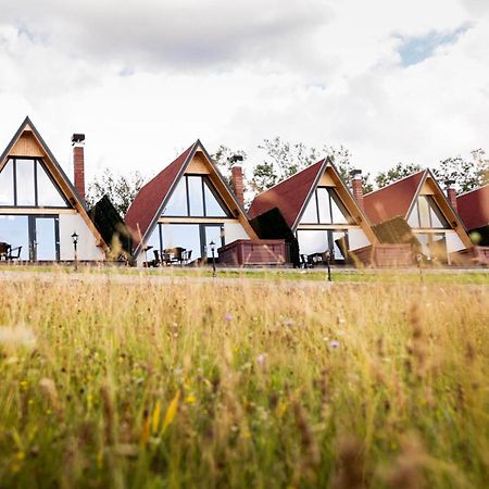 Motel Prislop Haţeg Exteriér fotografie