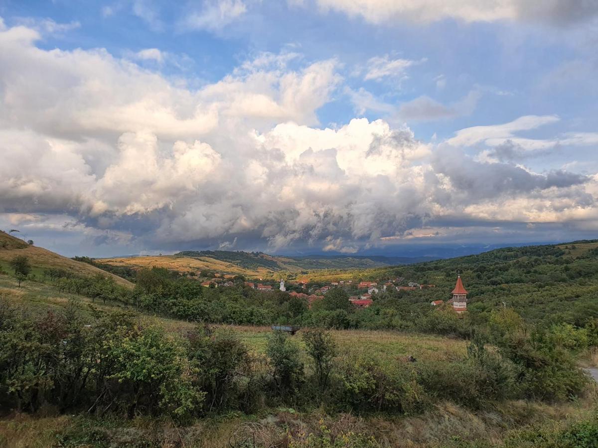 Motel Prislop Haţeg Exteriér fotografie