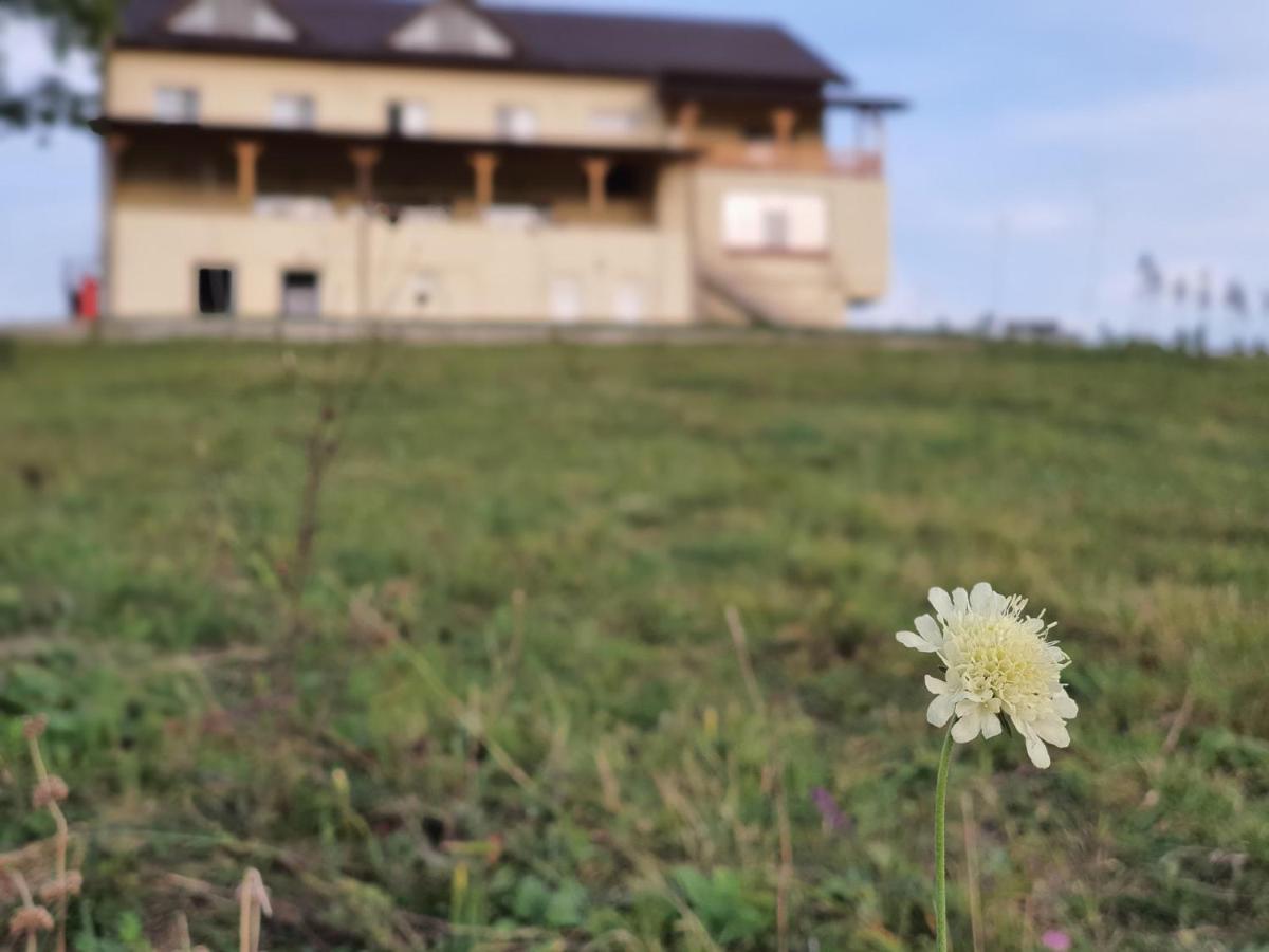 Motel Prislop Haţeg Exteriér fotografie