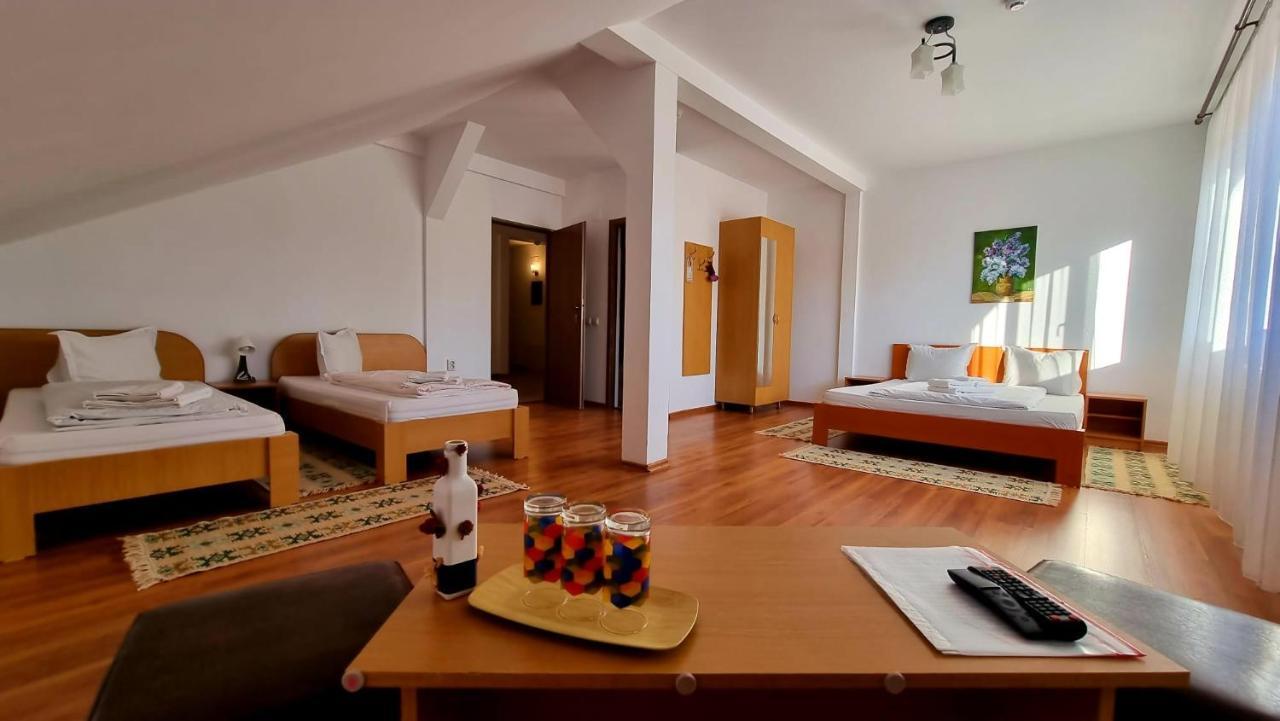 Motel Prislop Haţeg Exteriér fotografie